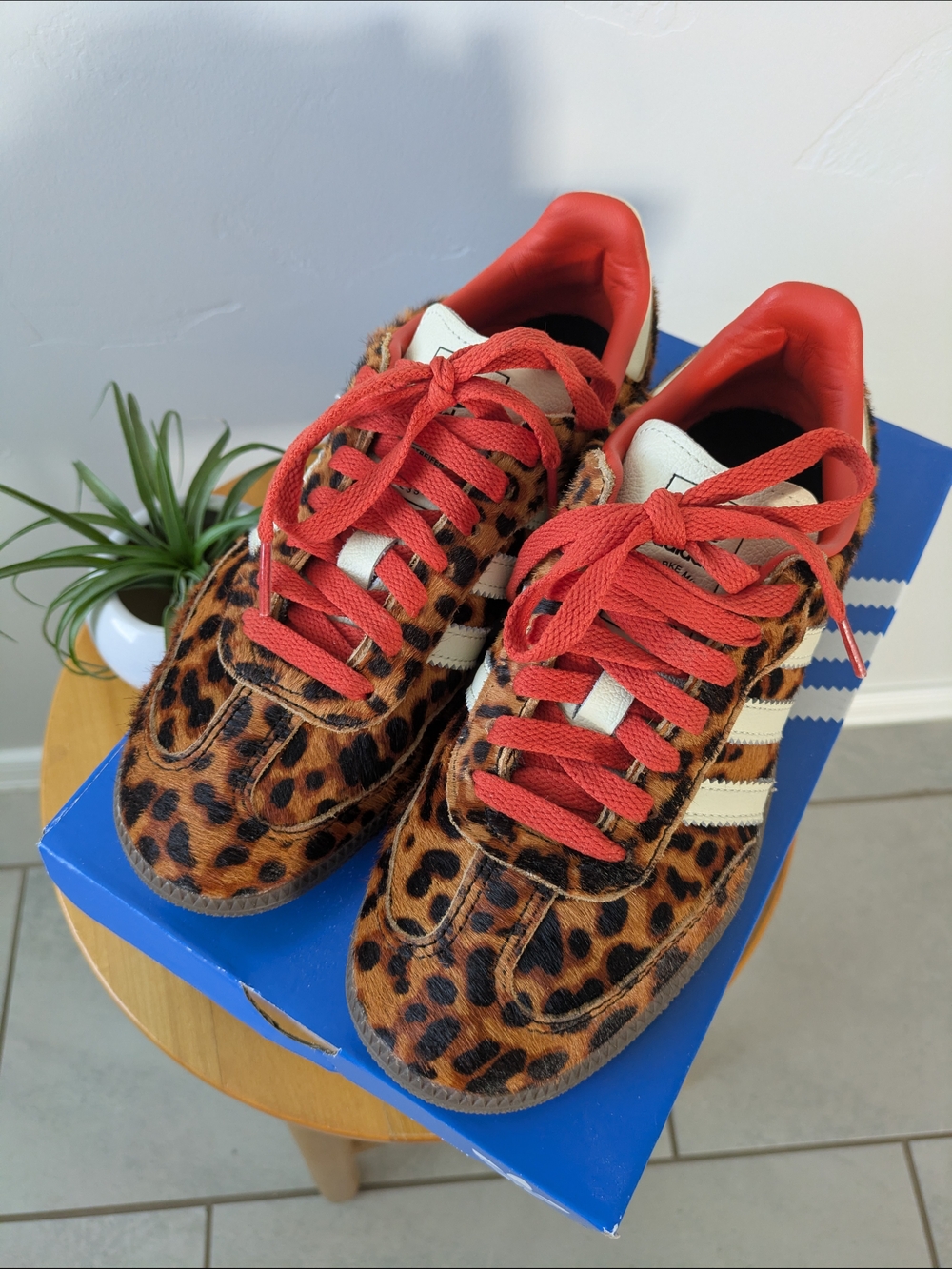 Adidas Samba OG Leopard Print  Sneakers with Red Accents Women's 6